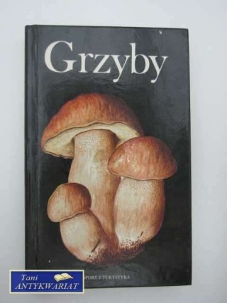 GRZYBY