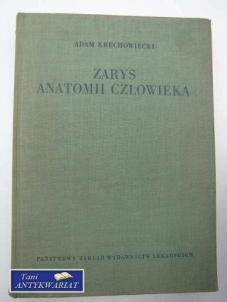ZARYS ANATOMII CZŁOWIEKA