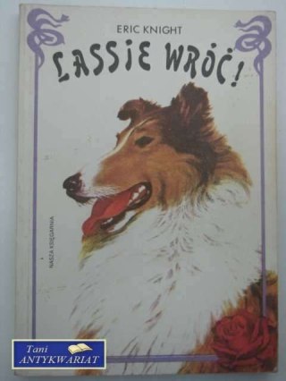 LASSIE WRÓĆ
