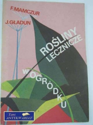 ROŚLINY LECZNICE W OGRÓDKU