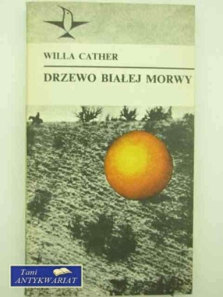 DRZEWO BIAŁEJ MORWY