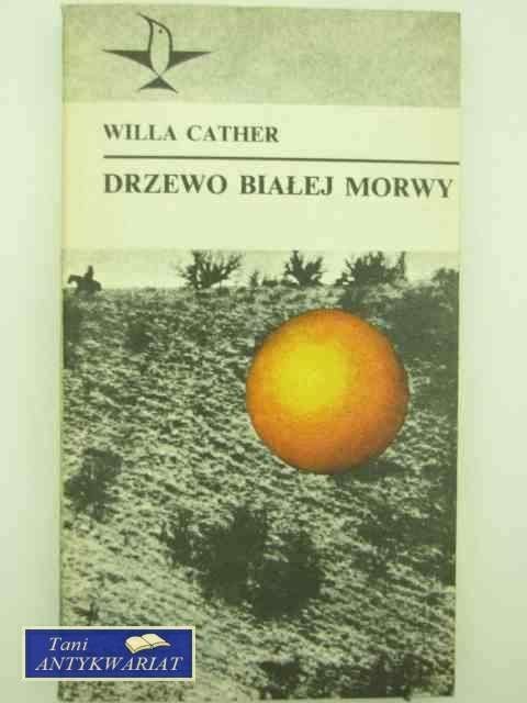 DRZEWO BIAŁEJ MORWY