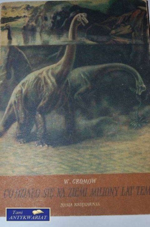 CO DZIAŁO SIE NA ZIEMI MILIONY LAT TEMU