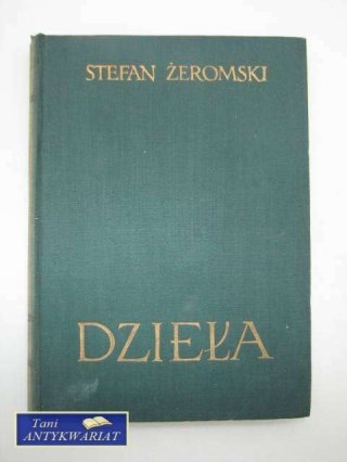 DZIEŁA POWIEŚCI TOM 13