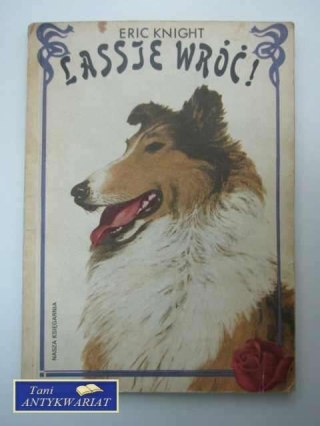 LASSIE WRÓĆ