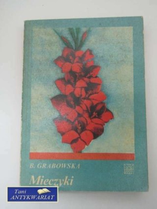 MIECZYKI