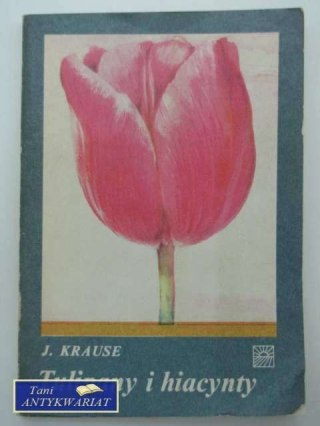 TULIPANY I HIACYNTY