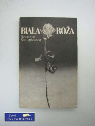 BIAŁA RÓŻA
