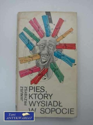 PIES, KTÓRY WYSIADŁ W SOPOCIE