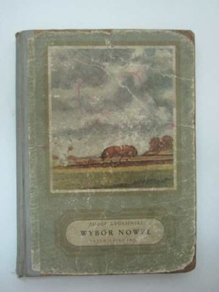 WYBÓR NOWEL