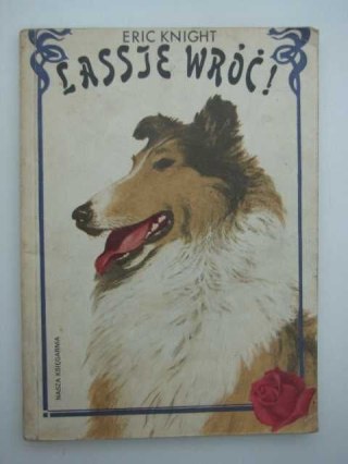 LASSIE WRÓĆ