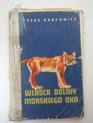 WŁADCA DOLINY MORSKIEGO OKA