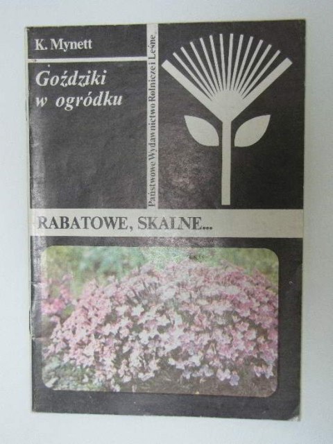GOŹDZIKI W OGRÓDKU