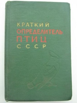 MAŁY SŁOWNIK PTAKÓW