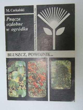 PNĄCZA OZDOBNE W OGRÓDKU