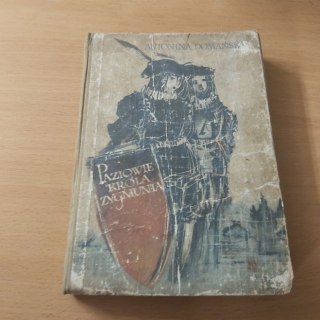 Paziowie Króla ZygZygmunta minta
