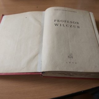 Profesor Wilczur