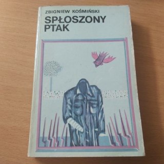 Spłoszony ptak