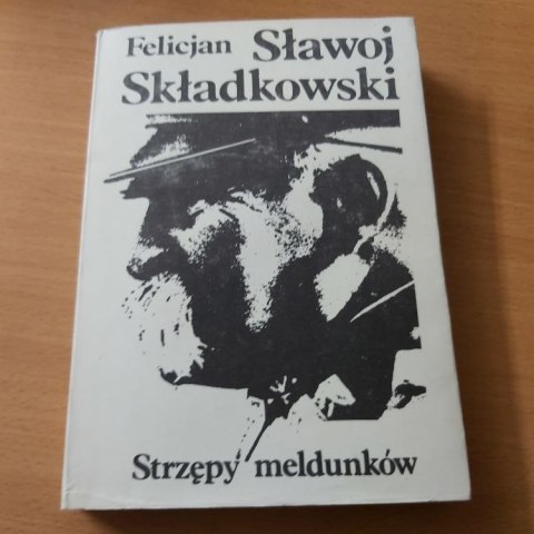 Strzępy meldunków