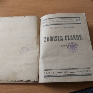 Zawisza Czarny