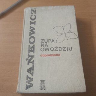 Zupa na gwoździu doprawiona