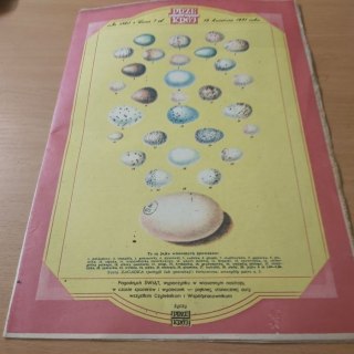 Przekrój nr 1880 z 19 kwietnia 1981 roku.