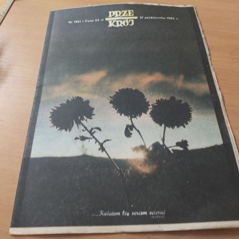 Przekrój nr 1951 z 31 października 1982 rok