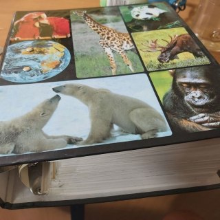 Encyklopedia Zwierząt od A do Z