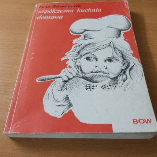 Współczesna kuchnia domowa