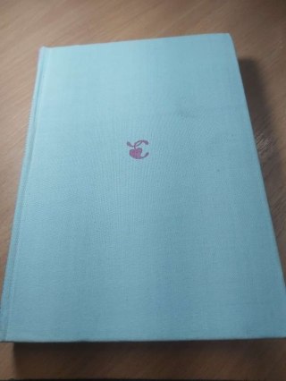 Pan Wołodyjowski