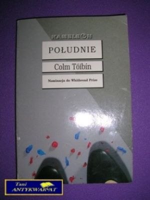 POŁUDNIE - Colm Toibin